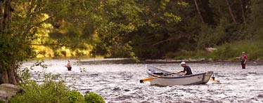 Fishing on the McKenzie River